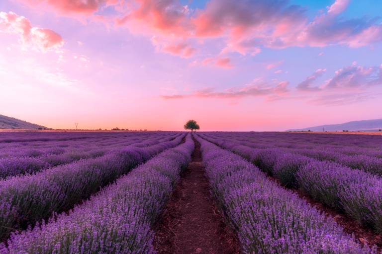 Healing Environment