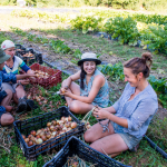Community farming