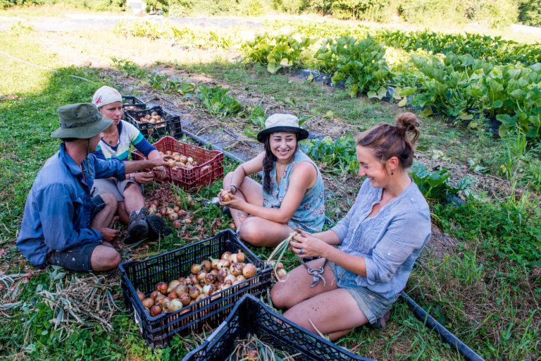 Community farming