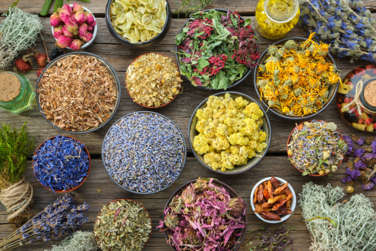 Ayurveda Herbs