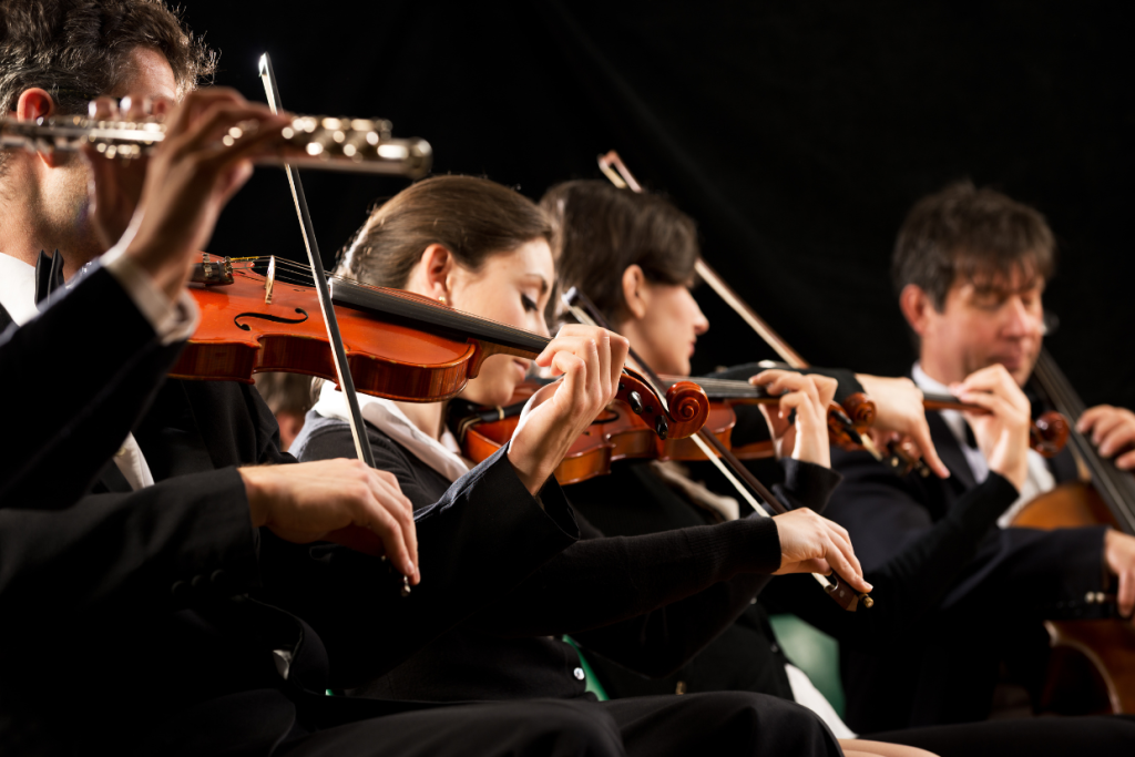 The Human Body's Systems Symphony