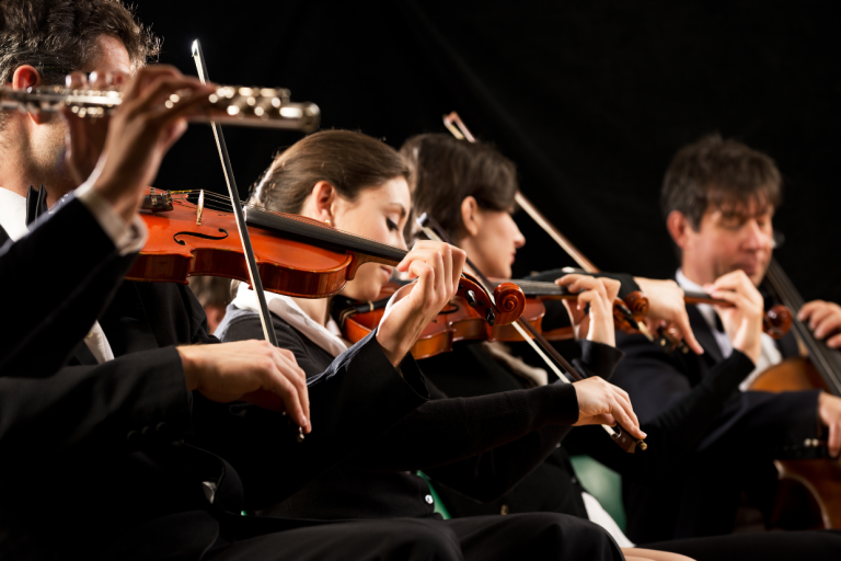 The Human Body's Systems Symphony