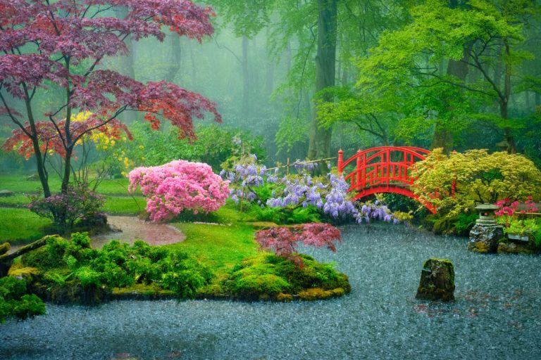 Healthy environments Japan garden